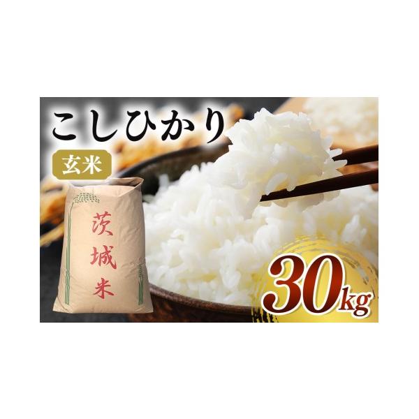 ふるさと納税 玄米 茨城県 石岡市 令和7年産 コシヒカリ 玄米30kg お