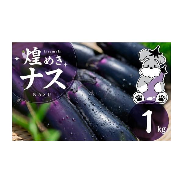 容量煌めきナス 1kg消費期限青果物のためお早めにお召し上がりください発送期日入金確認後2週間〜2ヶ月程度配送常温 時間指定 別送申込期日通年受け付けております事業者ガーデンライフ・オガタ申込条件何度も申し込み可