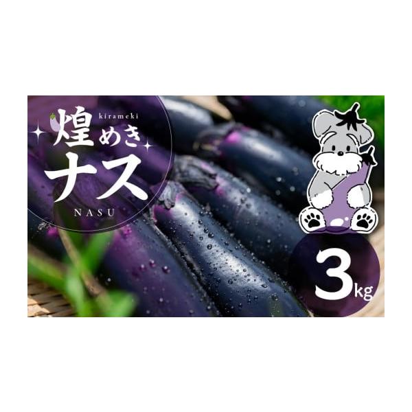 容量煌めきナス 3kg消費期限青果物のためお早めにお召し上がりください発送期日入金確認後2週間〜2ヶ月程度配送常温 時間指定 別送申込期日通年受け付けております事業者ガーデンライフ・オガタ申込条件何度も申し込み可