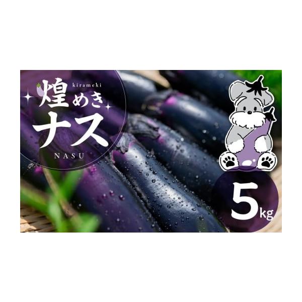 容量煌めきナス 5kg消費期限青果物のためお早めにお召し上がりください発送期日入金確認後2週間〜2ヶ月程度配送常温 時間指定 別送申込期日通年受け付けております事業者ガーデンライフ・オガタ申込条件何度も申し込み可