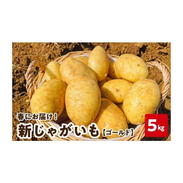 容量新じゃがいも ゴールド 5kg（約20〜30個）×1箱※大きさによって数が異なります。消費期限賞味期限：冷暗所で1ヶ月程度発送期日2026年3月に順次発送いたします。配送常温 時間指定 別送申込期日2026年2月28日まで事業者穐田農園...