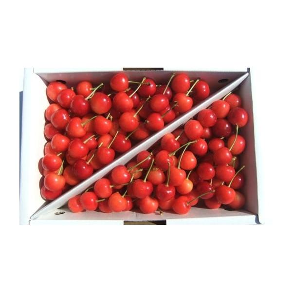 容量紅さやか　１ｋｇ　ご家庭用Ｍ、Ｌ混合　バラ詰め※色ムラ、サイズ不揃いのためご家庭用です。※サイズの指定はできません。※天候により出荷時期や規格（数、サイズ、品種等）を変更する場合がございます。発送期日２０２６年６月上旬〜６月中旬迄※ご不...