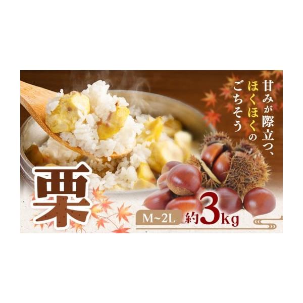 容量約3kg（M〜2Lサイズ）消費期限お早めにお召し上がりください発送期日9月上旬-10月上旬頃出荷配送冷蔵 時間指定 別送申込期日2026年9月中旬まで事業者日本フルーツ株式会社申込条件何度も申し込み可