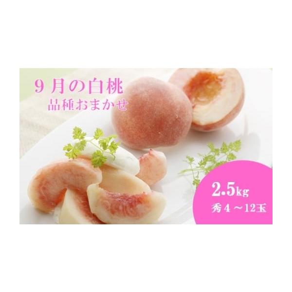 容量約2.5kg(秀4〜12玉）※品種の指定を承る事はできません消費期限1週間程度発送期日2026年9月上旬〜9月下旬配送冷蔵 時間指定 別送申込期日2026年8月31日まで事業者成生土づくり研究会申込条件何度も申し込み可