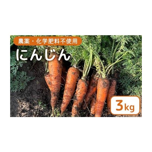 容量にんじん3kg消費期限賞味期限：常温　到着後はお早めにお召し上がりください。発送期日2025年11月下旬〜2026年1月中旬配送常温 時間指定 別送申込期日2026年1月12日（月）ご入金分まで事業者合同会社あれこれ申込条件何度も申し込み可