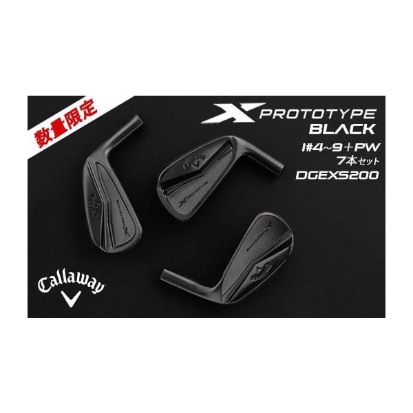 ふるさと納税 ゴルフグッズ クラブ 栃木県 鹿沼市 キャロウェイ X