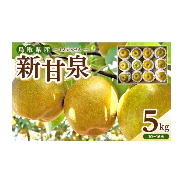 容量新甘泉  5kg原産国／製造国：日本産地（都道府県）：鳥取製造者：東商果樹園　鳥取県東伯郡北栄町六尾247-14消費期限保存方法：常温発送期日8月下旬より順次発送配送常温 時間指定 別送申込期日〜2026年8月31日　※所定の数量に達し...