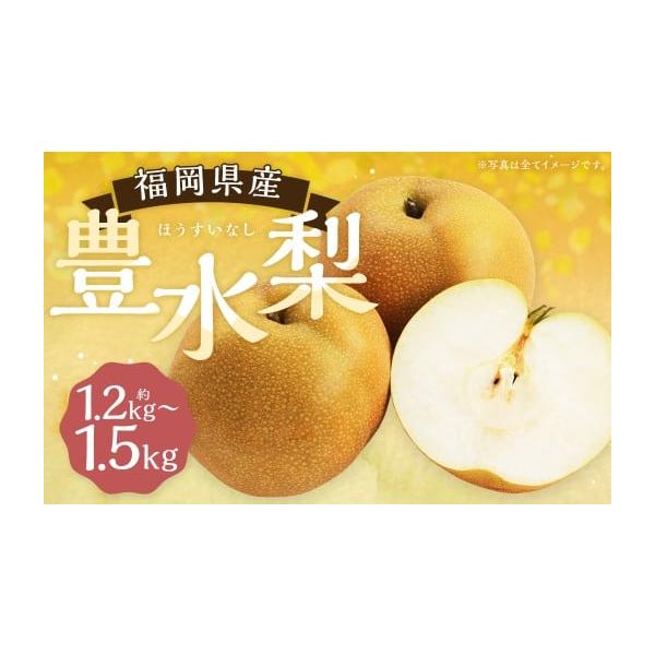 容量約1.2kg〜1.5kg 3玉※箱、風袋含まない消費期限【賞味期限】出荷日から7日程度発送期日2026年8月下旬から9月下旬発送予定配送冷蔵 別送申込期日〜2026年9月8日まで寄附受付事業者JAふくおか八女 農産物等直売所「よらん野」...