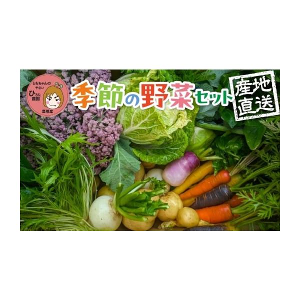 容量７種類の野菜をお届けします。キャベツとブロッコリー以外は、おすすめの野菜をお届けします。消費期限届いたらできるだけ早めにお楽しみください発送期日●発送時期／11月〜3月を予定しております。※お届け期間は生育状況により多少の変動がある場合...