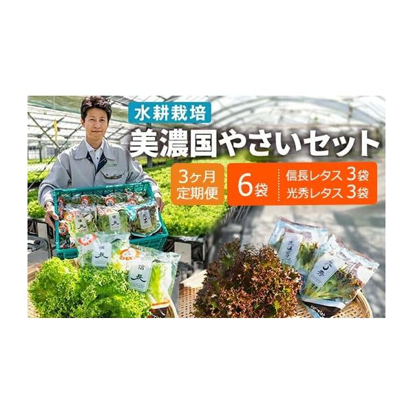 容量信長レタス(70g)×3袋光秀レタス(60g)×3袋×3回消費期限発送から冷蔵で6日発送期日入金確認後、約2週間〜1ヶ月でお届け配送冷蔵 定期 別送申込期日通年事業者アグリラボ株式会社申込条件何度も申し込み可