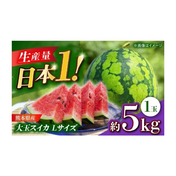 容量約5kg(1玉入)　【原料原産地】山鹿市産消費期限【賞味期限】配送から5日間発送期日ご入金確認後、【2026年】5月上旬〜6月下旬にかけて順次発送いたします。配送常温 時間指定 別送申込期日6月中旬まで事業者日本フルーツ株式会社申込条件...