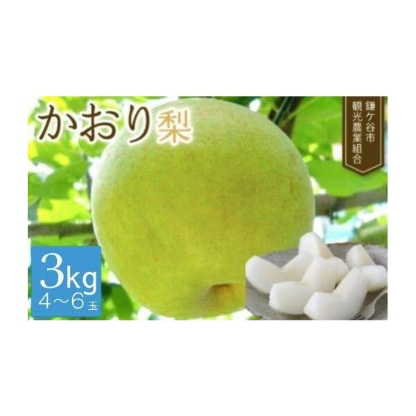 容量かおり梨　3kg（4〜6玉）※天候不良などで玉数が変更になる場合もあります。消費期限冷蔵で保管いただき、お早めにお召し上がりください。発送期日2026年8月以降から順次発送します。※収穫状況によって若干前後する場合もあります。配送常温 ...