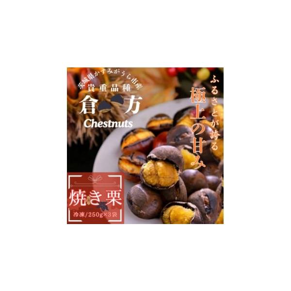 容量■お礼品の内容について・焼き栗(冷凍)[250g×3セット]原産地:茨城県かすみがうら市／製造地:茨城県かすみがうら市■原材料・成分栗消費期限■賞味期限:製造日から4ヶ月発送期日お申し込みより1〜2週間程度で順次発送予定　※離島、沖縄県...
