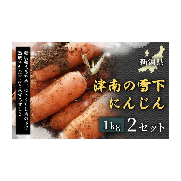 容量津南の雪下にんじん 2kg 10本程度消費期限発送日から14日程度　【保存方法】 要冷蔵発送期日2026／03／20以降順次発送（以降は申込後7日以内に発送）配送冷蔵 時間指定 別送事業者株式会社麓申込条件何度も申し込み可