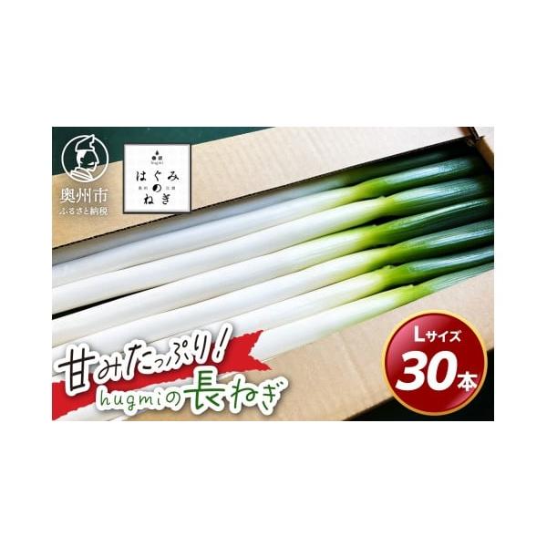 容量■名称hugmiの長ねぎ 3kg Lサイズ■内容量奥州市産長ネギ 3kgLサイズ:30本■サイズLサイズ約1.7cｍ以上〜約2.2cｍ未満■産地岩手県奥州市■保存方法※届き次第冷蔵庫内で保管してください。■注意事項※生育の状況によりサイ...