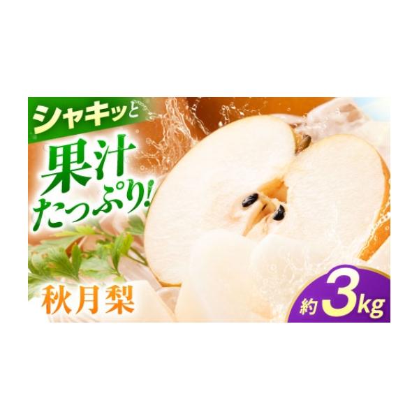 梨 熊本県 山鹿市 先行予約 秋月梨 約3kg 梨 ナシ フルーツ 果物 日本フルーツ株式会社 ZFJ062