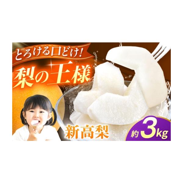 梨 熊本県 山鹿市 先行予約 新高梨 約3kg 梨 ナシ フルーツ 果物 日本フルーツ株式会社 ZFJ064