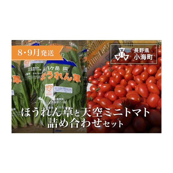 容量1箱発送期日発送は８〜９月を予定しております。配送冷蔵 別送申込期日7月末日まで事業者わたらい農場申込条件何度も申し込み可