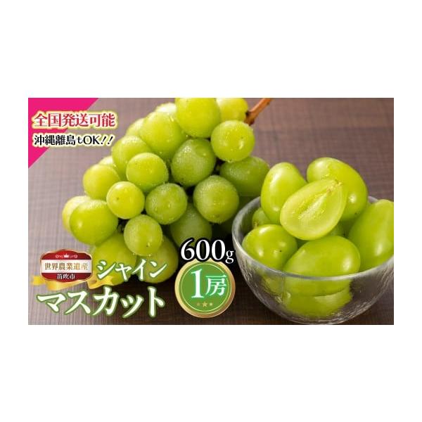 ふるさと納税 ぶどう マスカット 山梨県 笛吹市 2026年発送 先行予約