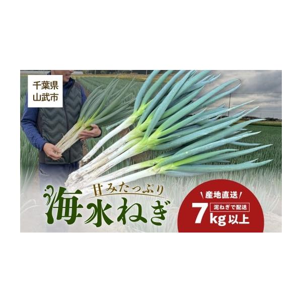 容量海水ネギ（７kg以上）泥ネギ消費期限生鮮食品のためなるべくお早めにお召し上がりください。発送期日入金から10日以内発送期間：12月〜2月配送常温 別送事業者土屋　龍雄申込条件何度も申し込み可