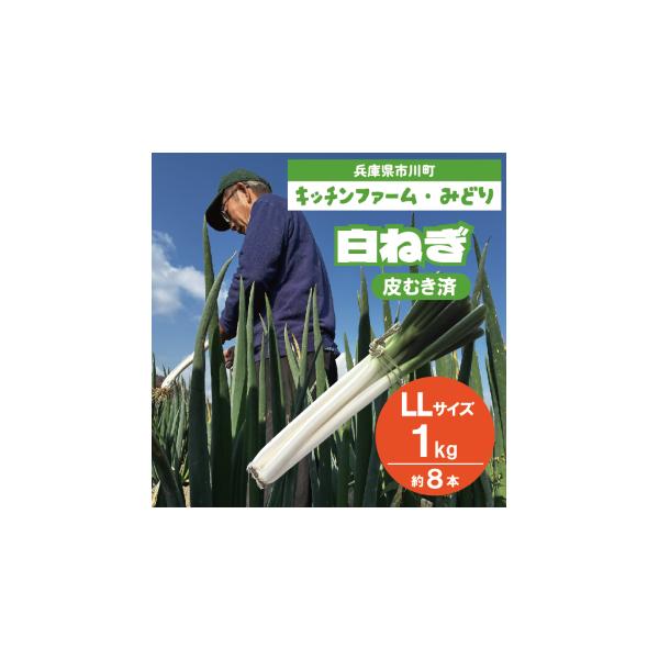 容量1kg（約8本）消費期限生鮮品のためお早めにお召し上がり下さい。発送期日通常、１か月以内にお届けします。生鮮品のため、ご不在日がある場合は、備考欄に記載ください。配送常温 時間指定 別送事業者キッチンファームみどり申込条件何度も申し込み可