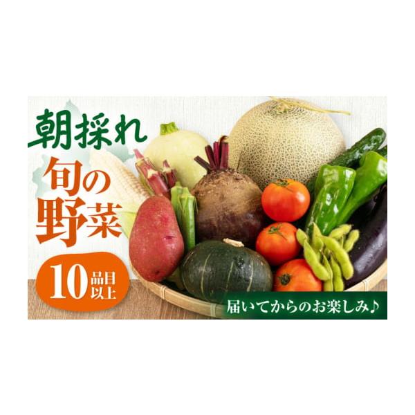 容量10品以上の野菜が入った玉手箱※野菜の種類はお任せとなります。【原料原産地】ニセコ町産消費期限生鮮野菜ですので、到着後はお早目にお召し上がりください。発送期日【2026年発送】10月発送予定※発送可能期間中は、通常1ヵ月以内のお届けとな...