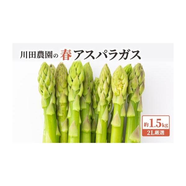 容量春芽グリーンアスパラガス 約1.5kg、2Lサイズ厳選消費期限冷蔵5日発送期日2026年5月10日〜2026年6月5日配送冷蔵 別送申込期日2026年5月20日まで事業者川田農園申込条件何度も申し込み可