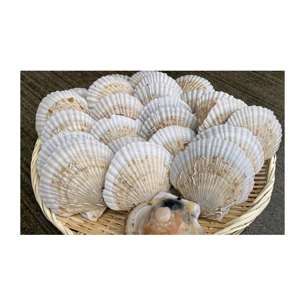 【ふるさと納税】8-013-035　殻付き半成貝（ベビー貝）2kg（約30枚）【2027年3月発送】　お届け：2027年3月発送