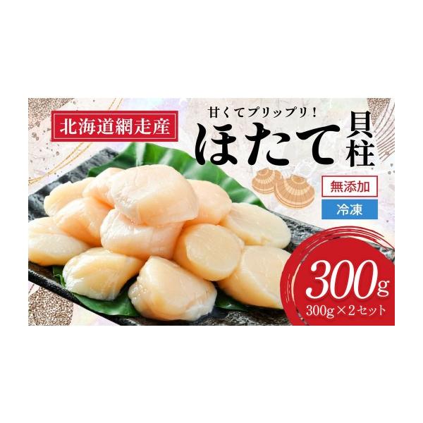 ふるさと納税 魚貝類 ホタテ 北海道 網走市  2026年新物先行予約 網走前浜産 無添加ホタテ貝柱 900g (300g×3)（2026年6月15日より順次発送） ホタテ ほたて …