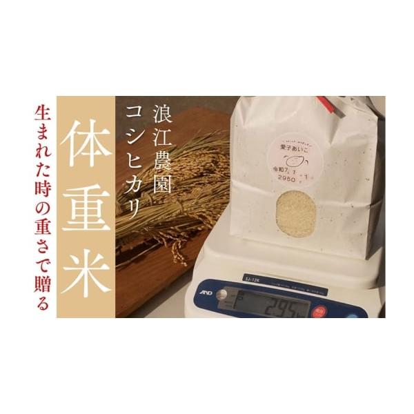 ふるさと納税 米 コシヒカリ 京都府 宮津市 大切な方へ贈る、生まれた