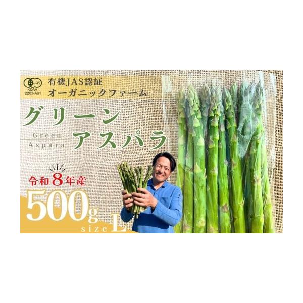 容量・オーガニック グリーンアスパラガス  L　500g消費期限約７日※生鮮品のため、お早めにお召し上がりください。発送期日出荷時期：３月下旬〜５月中旬期間内に順次発送致します。（目安：25日営業日以内に発送）※天候や生育状況により発送時期...