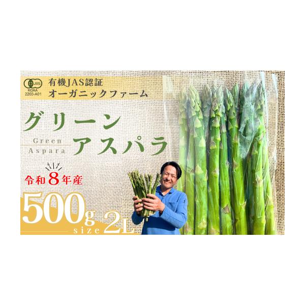 容量・オーガニック グリーンアスパラガス  2L　500g消費期限約７日※生鮮品のため、お早めにお召し上がりください。発送期日出荷時期：３月下旬〜５月中旬期間内に順次発送致します。（目安：25日営業日以内に発送）※天候や生育状況により発送時...
