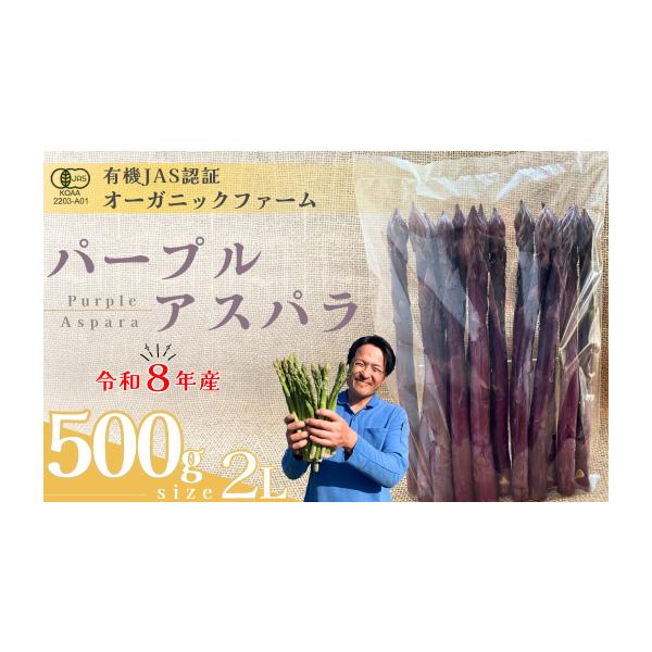 容量・オーガニック パープルアスパラガス  2L　500g消費期限約７日※生鮮品のため、お早めにお召し上がりください。発送期日出荷時期：4月上旬〜5月中旬期間内に順次発送致します。（目安：25日営業日以内に発送）※天候や生育状況により発送時...