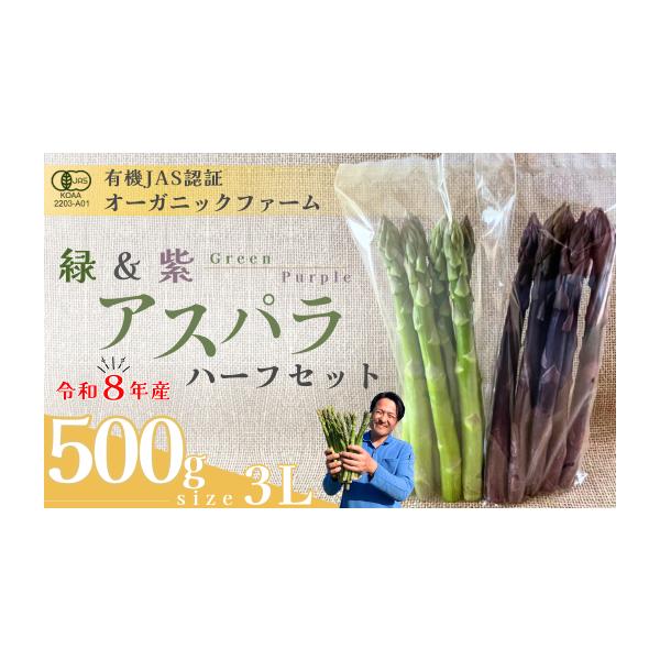 容量・オーガニック パープル&amp;グリーンアスパラガス ハーフセット  3L　500g消費期限約７日※生鮮品のため、お早めにお召し上がりください。発送期日出荷時期：4月上旬〜5月中旬期間内に順次発送致します。（目安：25日営業日以内に発...