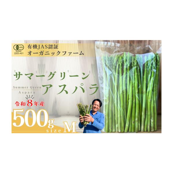 容量・オーガニック サマーグリーンアスパラガス  M　500g消費期限約７日※生鮮品のため、お早めにお召し上がりください。発送期日出荷時期：6月下旬〜8月中旬期間内に順次発送致します。（目安：25日営業日以内に発送）※天候や生育状況により発...