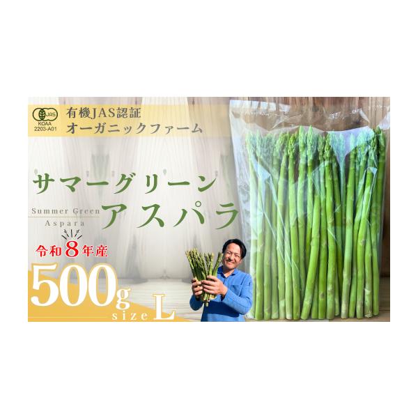 容量・オーガニック サマーグリーンアスパラガス  L　500g消費期限約７日※生鮮品のため、お早めにお召し上がりください。発送期日出荷時期：6月下旬〜8月中旬期間内に順次発送致します。（目安：25日営業日以内に発送）※天候や生育状況により発...