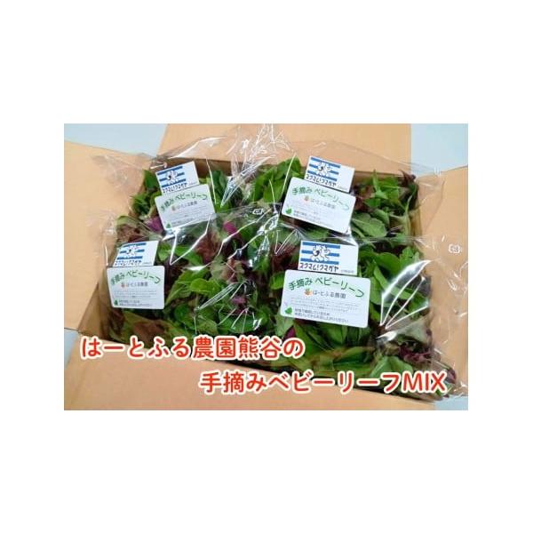 容量50ｇ×5袋消費期限要冷蔵で、収穫日から７日までにお召し上がりいただくことをおすすめします。発送期日入金確認後、30日程度で発送。ただし、お盆、年末年始、祝祭日は発送不可配送冷蔵 別送申込期日通年申込を受け付けております。　事業者日建リ...