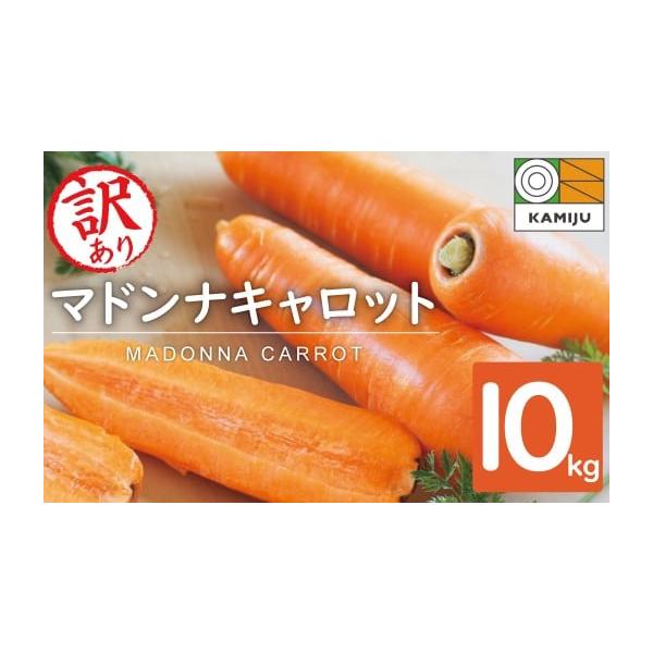 容量訳あり　マドンナキャロット　10kg（大小サイズ混合　約40本前後）※箱の重さを含みます消費期限生鮮食品のためなるべく早めにお召し上がりください。発送期日11月下旬〜2月上旬発送※期間中のお申込みは、決済から2カ月以内で発送(収穫の状況...
