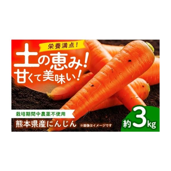 容量にんじん 約3kg【原料原産地】熊本県山鹿市消費期限【賞味期限】お早めにお召し上がりください。発送期日ご入金確認後、【2026年】1月〜【2026年】6月にかけて順次配送致します。＊本返礼品は先行受付品のため、発送期間を必ずご確認の上お...