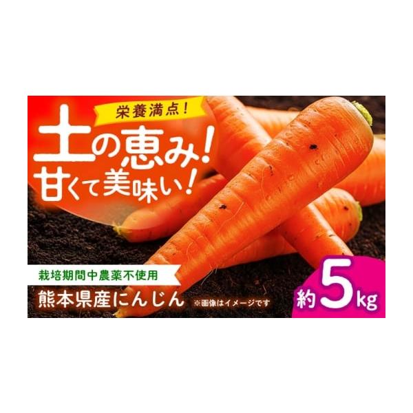 容量にんじん 約5kg【原料原産地】熊本県山鹿市消費期限【賞味期限】お早めにお召し上がりください。発送期日ご入金確認後、【2026年】1月〜【2026年】6月にかけて順次配送致します。＊本返礼品は先行受付品のため、発送期間を必ずご確認の上お...