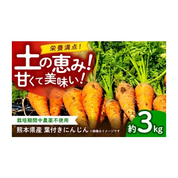 容量にんじん 約3kg【原料原産地】熊本県山鹿市消費期限【賞味期限】お早めにお召し上がりください。発送期日ご入金確認後、【2026年】1月〜【2026年】6月にかけて順次配送致します。※配送時期により、冷蔵便と常温便どちらかでの配送となりま...