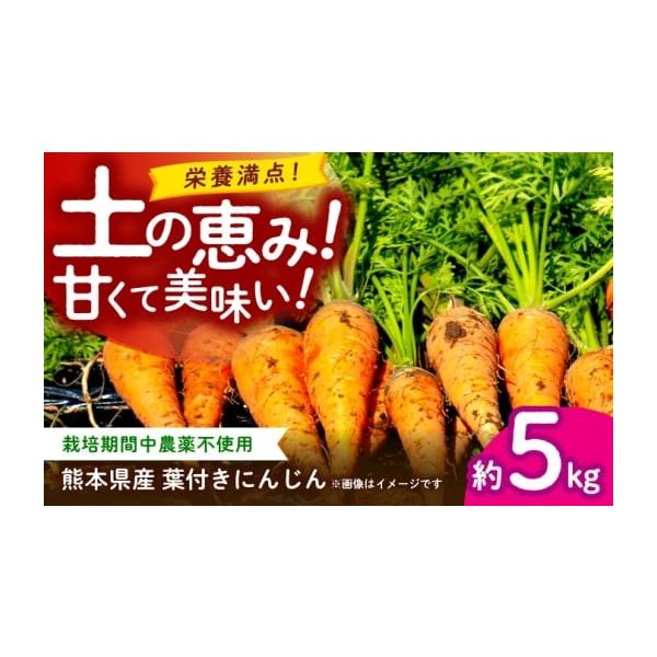 容量にんじん 約5kg【原料原産地】熊本県山鹿市消費期限【賞味期限】お早めにお召し上がりください。発送期日ご入金確認後、【2026年】1月〜【2026年】6月にかけて順次配送致します。※配送時期により、冷蔵便と常温便どちらかでの配送となりま...
