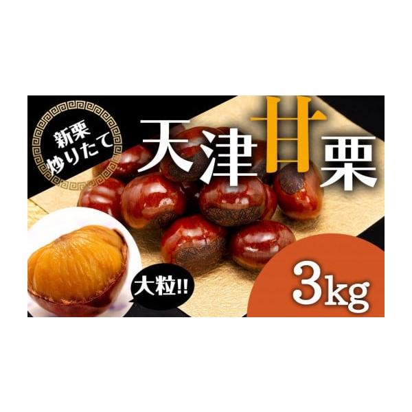 容量無添加 大粒天津甘栗 3kg 原材料：栗(中国河北省青龍)、水飴、植物性油脂消費期限発送日から7日以内保存方法：一度に食べきれない場合は冷凍庫で保管発送期日寄附のご入金後、１週間以内を目途に発送いたします。配送常温 時間指定 別送申込期...
