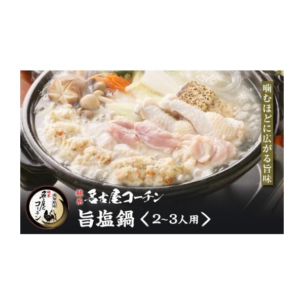 ふるさと納税 鶏肉 セット 愛知県 名古屋市 純系名古屋コーチン　旨塩鍋2〜3人用