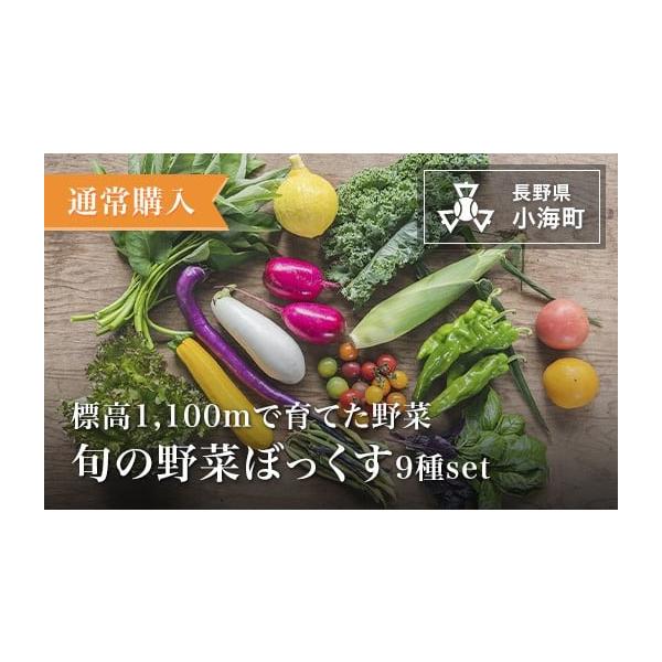 容量1箱発送期日発送は６〜１１月を予定しております。配送冷蔵 別送申込期日10月31日まで事業者あとくら農園申込条件何度も申し込み可