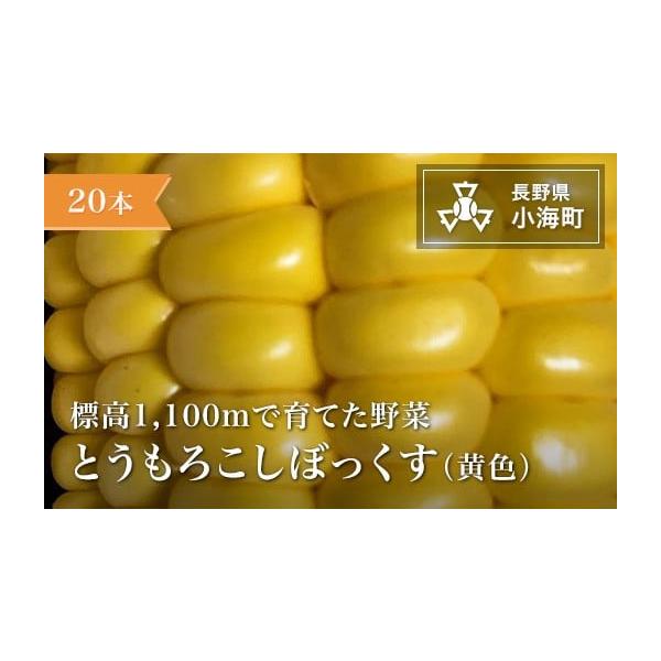 容量20本発送期日発送は８月を予定しております。配送冷蔵 定期 別送申込期日5月30日まで事業者あとくら農園申込条件何度も申し込み可