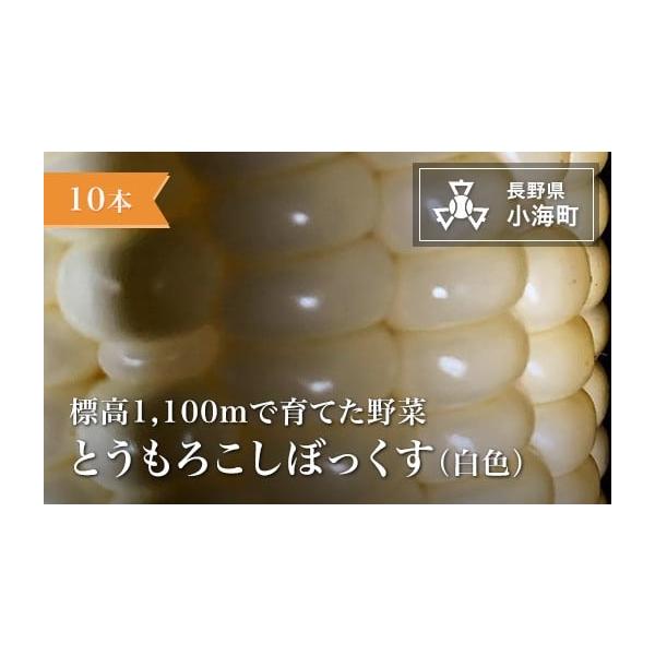 容量10本発送期日発送は８月を予定しております。配送冷蔵 定期 別送申込期日5月30日まで事業者あとくら農園申込条件何度も申し込み可