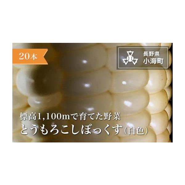 容量20本発送期日発送は８月を予定しております。配送冷蔵 定期 別送申込期日5月30日まで事業者あとくら農園申込条件何度も申し込み可