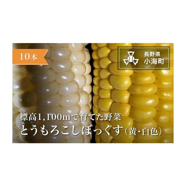 容量10本発送期日発送は８月を予定しております。配送冷蔵 定期 別送申込期日5月30日まで事業者あとくら農園申込条件何度も申し込み可