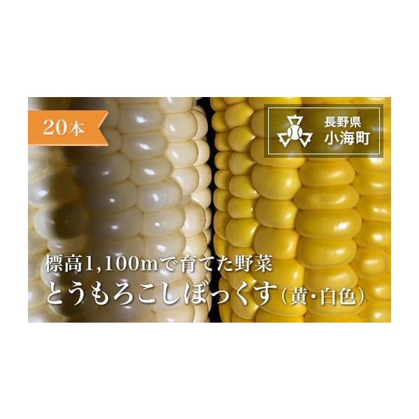 容量20本発送期日発送は８月を予定しております。配送冷蔵 定期 別送申込期日5月30日まで事業者あとくら農園申込条件何度も申し込み可